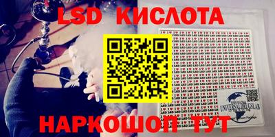 ПСИЛОЦИБИНОВЫЕ ГРИБЫ Гай