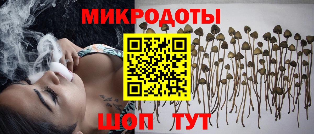 Мытищи  Псилоцибиновые грибы мухоморы  Вход с VPN 